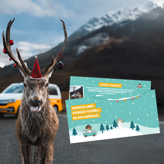 roadsurfer Rent holiday voucher